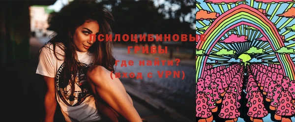 твердый Костерёво
